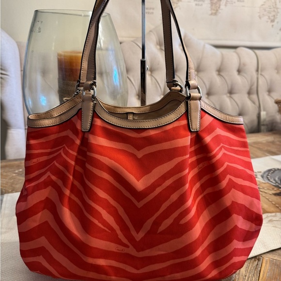 Coach Zebra - Picture 10 of 12